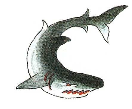 Card image cap
